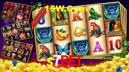 s7bet Belo Horizonte - Winners